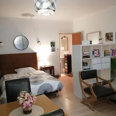 דירה Entier 20 M2 טולוז